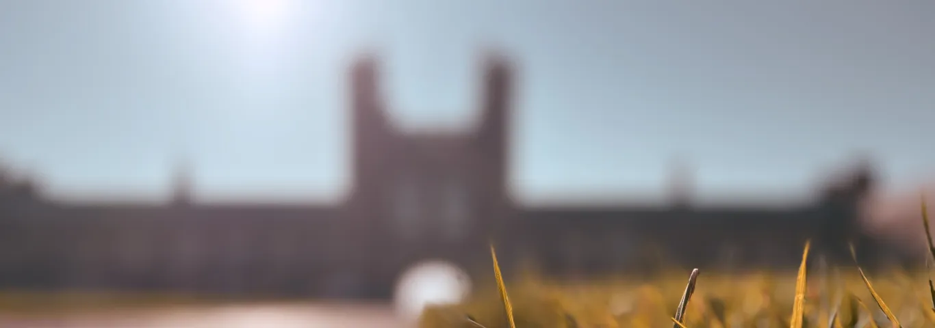 Grass with Brookings Hall in the distance