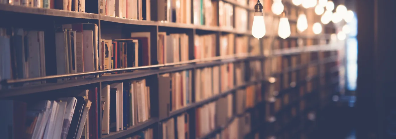 rows of books with hanging lights
