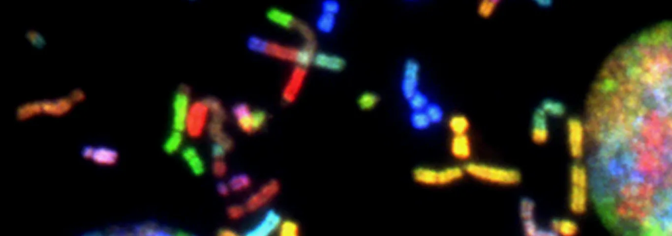  a close-up of a cell with a black background