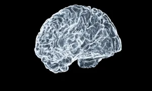 Brain Scan