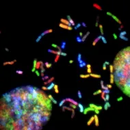  a close-up of a cell with a black background