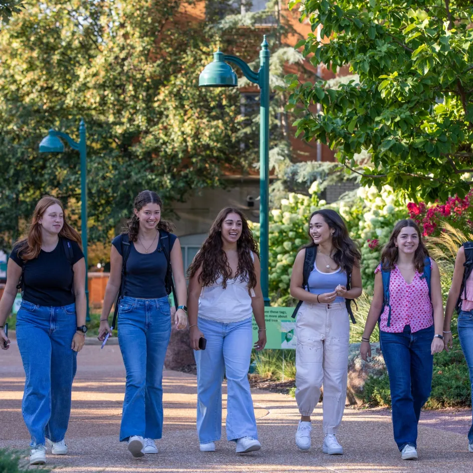 طلاب يعملون معًا خلال برنامج صيفي قبل الجامعة في WashU